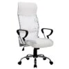 Sleek Design High Back Mesh Fabric Swivel Office Chair With Chrome Base, MO57 White -Entreprise Cc Shop 399ff5b0 b3be 42b6 ae98 60a57dfcf34e
