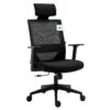 Joni High Back Mesh Office Chair With Headrest In Black 2 Joni High Back Mesh Office Chair With Headrest In Black -Entreprise Cc Shop 63eca518 d703 4bff 81a2 9ae0a862d8ed