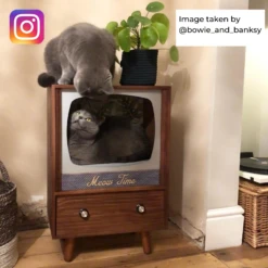 Harrington Rattan + Rope Indoor Outdoor SINGLE Hanging Chair 16 Harrington Rattan + Rope Indoor Outdoor SINGLE Hanging Chair -Entreprise Cc Shop 9