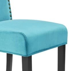Maidwell Set Of 2 Air Blue Velvet Dining Chairs -Entreprise Cc Shop DCH LW8116 ABLUEVEL 2P detail2