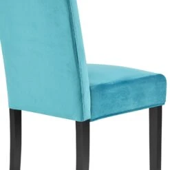 Maidwell Set Of 2 Air Blue Velvet Dining Chairs -Entreprise Cc Shop DCH LW8116 ABLUEVEL 2P detail3