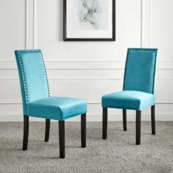 Maidwell Set Of 2 Air Blue Velvet Dining Chairs