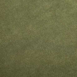 Pienza Cane Sofa Bed, Moss Green Velvet With Walnut Frame 33 Pienza Cane Sofa Bed, Moss Green Velvet With Walnut Frame -Entreprise Cc Shop LWSF 760 GREENVEL WALN fabric