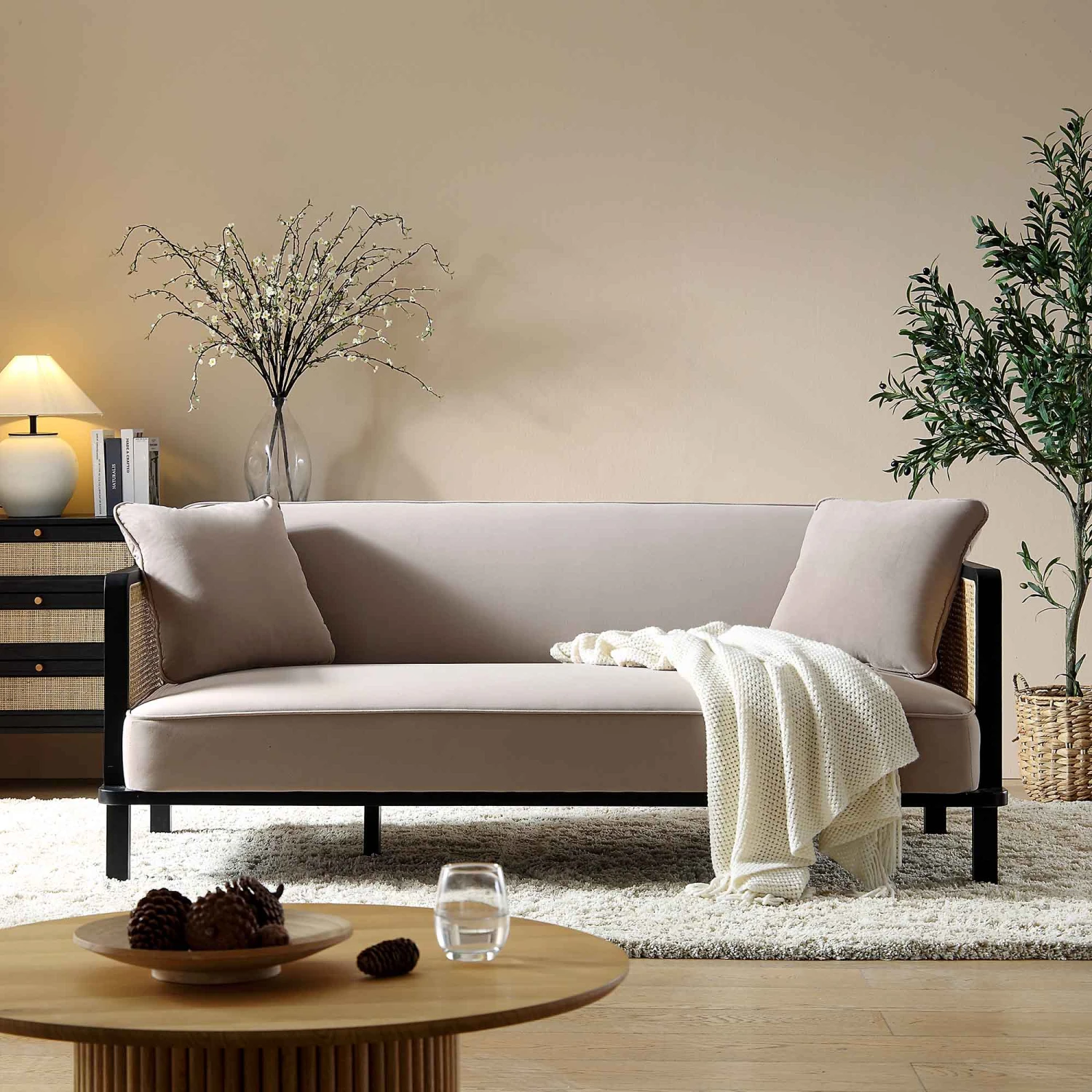 Pienza Cane Sofa Bed, Taupe Velvet With Black Frame 3 Pienza Cane Sofa Bed, Taupe Velvet With Black Frame - Image 2