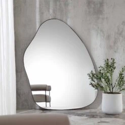 Pavia Irregular Shaped Extra Large Full Length Mirror 160 X 115 Cm, Black -Entreprise Cc Shop MIRR 102 BLACK scene1