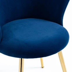 Kylie Set Of 2 Blue Velvet Dining Chairs -Entreprise Cc Shop MO104BLUEVEL P detail1