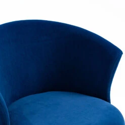 Kylie Set Of 2 Blue Velvet Dining Chairs -Entreprise Cc Shop MO104BLUEVEL P detail2