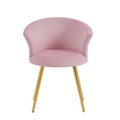 Kylie Set Of 2 Pink Velvet Dining Chairs 16 Kylie Set Of 2 Pink Velvet Dining Chairs -Entreprise Cc Shop MO104PINKVEL P WB2