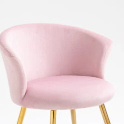 Kylie Set Of 2 Pink Velvet Dining Chairs 20 Kylie Set Of 2 Pink Velvet Dining Chairs -Entreprise Cc Shop MO104PINKVEL P detail1