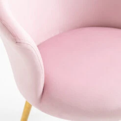 Kylie Set Of 2 Pink Velvet Dining Chairs 22 Kylie Set Of 2 Pink Velvet Dining Chairs -Entreprise Cc Shop MO104PINKVEL P detail3